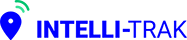 INTELLI Security Solutions Logo